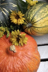High angle view of pumpkin on wood