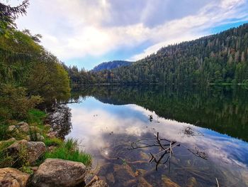 Scenic view of lake by trees against sky