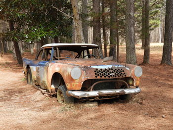 Vintage car on field in forest