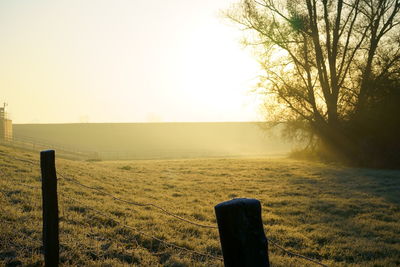 Wooden fence on field against sky