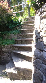 Close-up of narrow stairs along plants