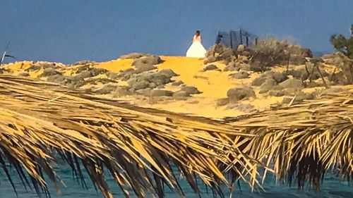 View of bird flying against the sky
