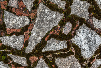 High angle view of stone wall