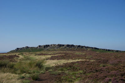 Scenic view of field against clear blue sky