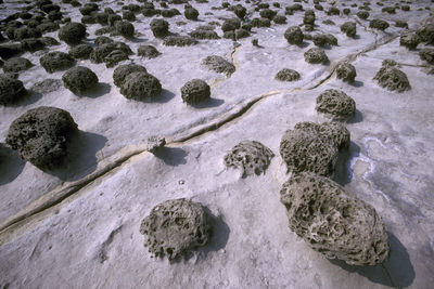 High angle view of rocks on beach