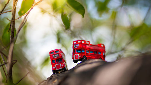 Close-up of toy car