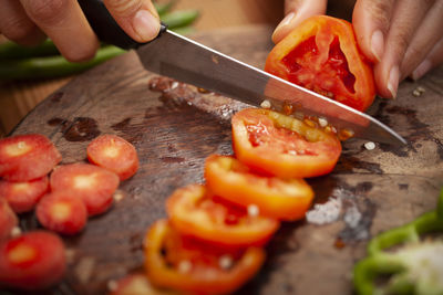 Midsection of person preparing food on cutting board