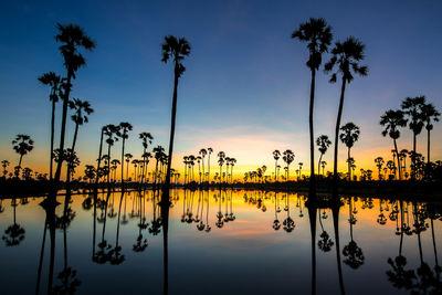 Silhouette palm trees by lake against sky during sunset
