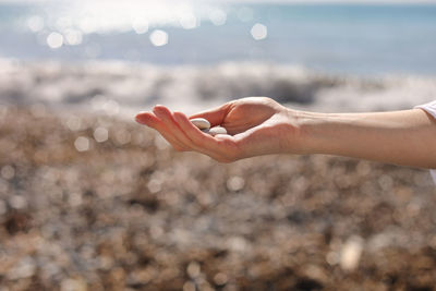 Cropped hand of woman holding pebble at beach