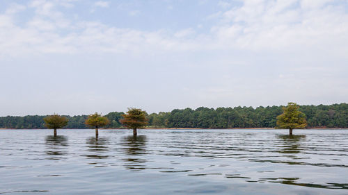 Scenic view of lake against sky