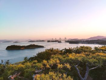 Scenic view of sea against clear sky