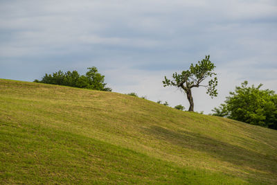 Scenic view of land against sky