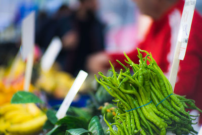 Close-up of vegetables for sale in market