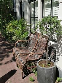 Potted plants on table in yard