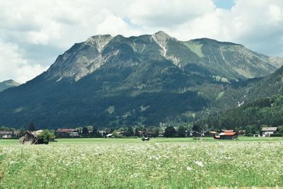 Scenic view of field and mountains against sky