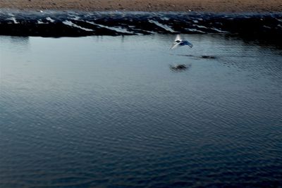Man feeding in sea