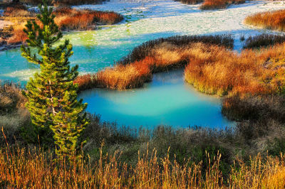 Scenic view of lake during autumn