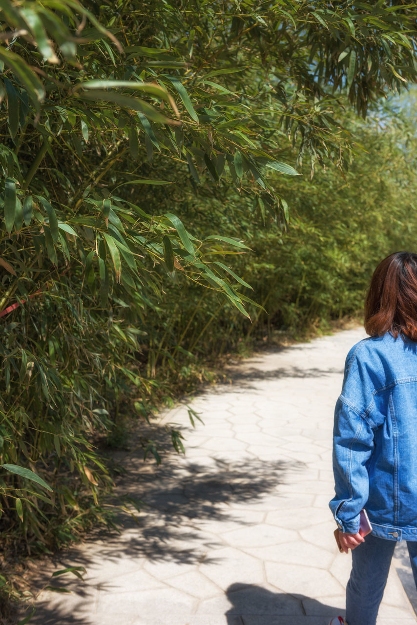 REAR VIEW OF WOMAN WALKING ON FOOTPATH BY TREES