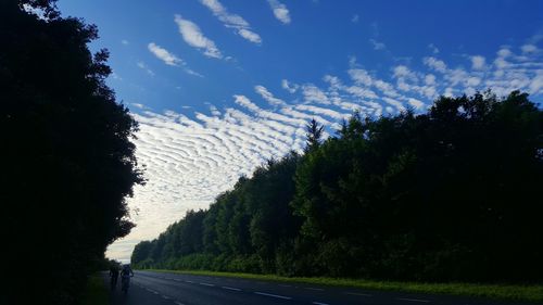 Road passing through trees