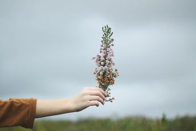 Close-up of hand holding flower against sky