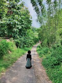 Rear view of woman walking on footpath by road