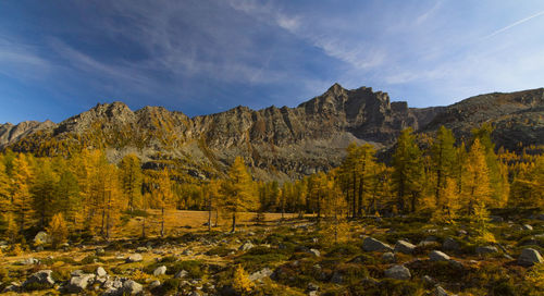 Scenic view of landscape against sky during autumn