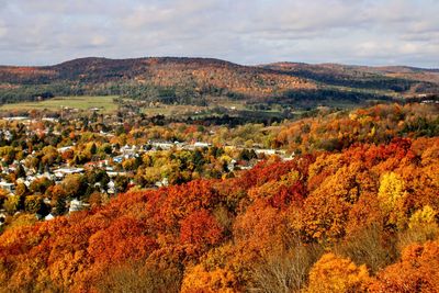 Scenic view of landscape against sky during autumn