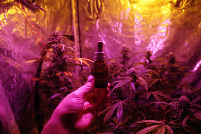 Close-up of hand holding glass bottle