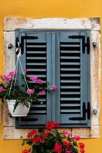 Potted plants against window of building