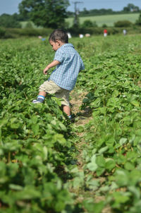 Full length of boy walking on field