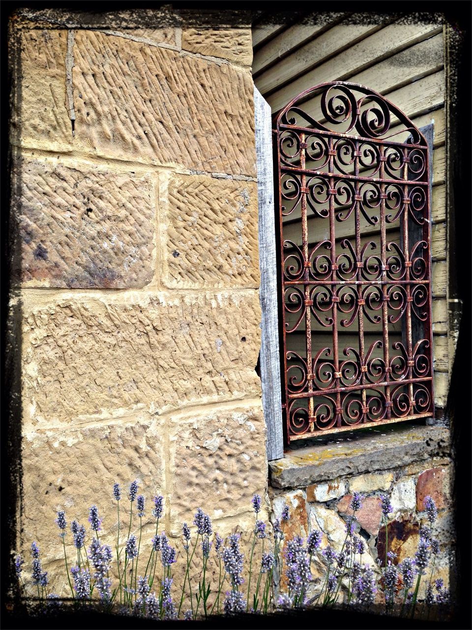 architecture, built structure, building exterior, wall - building feature, window, brick wall, house, plant, flower, wall, transfer print, closed, auto post production filter, day, outdoors, old, pattern, stone wall, door, no people