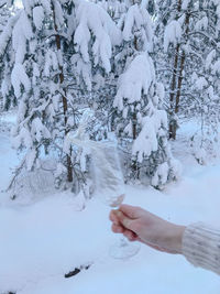 Person holding ice cream cone against trees during winter