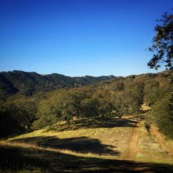 Scenic view of landscape against clear blue sky