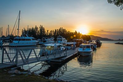 Boats in marina at sunset