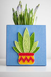 High angle view of potted plant against white background