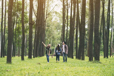 Rear view of people walking in forest