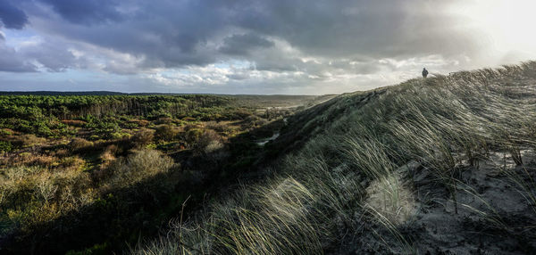Scenic view of landscape against cloudy sky