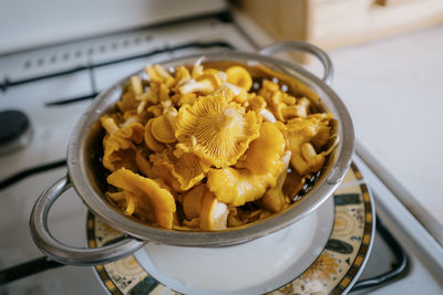 Wet chanterelles in a colander after rinsing. freshly picked mushrooms.