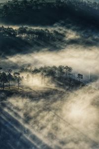 Trees on field against sky