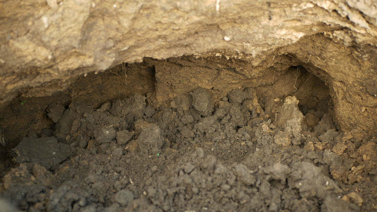 soil, cave, no people, nature, textured, close-up, geology, backgrounds, full frame, outdoors, land, day, pattern, rock, dirt