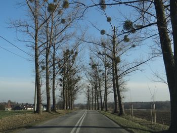 Empty road along trees and plants