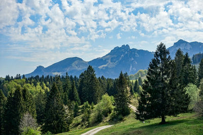 Panoramic view of trees and mountains against sky