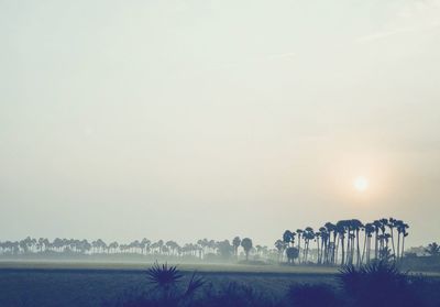 Scenic view of field against sky during sunset