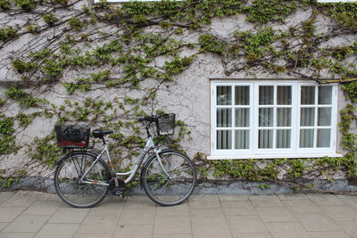 Bicycle by tree against building