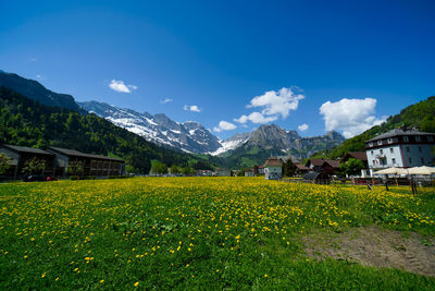 Scenic view of field by houses and mountains against sky