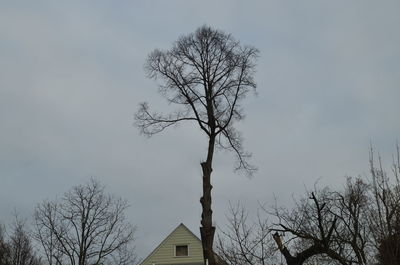 Low angle view of bare trees against the sky