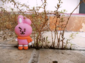 Close-up of stuffed toy on tree