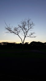 Silhouette bare tree against clear sky during sunset