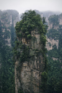 Rock formations at zhangjiajie national forest park