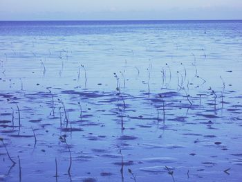 Scenic view of sea against blue sky